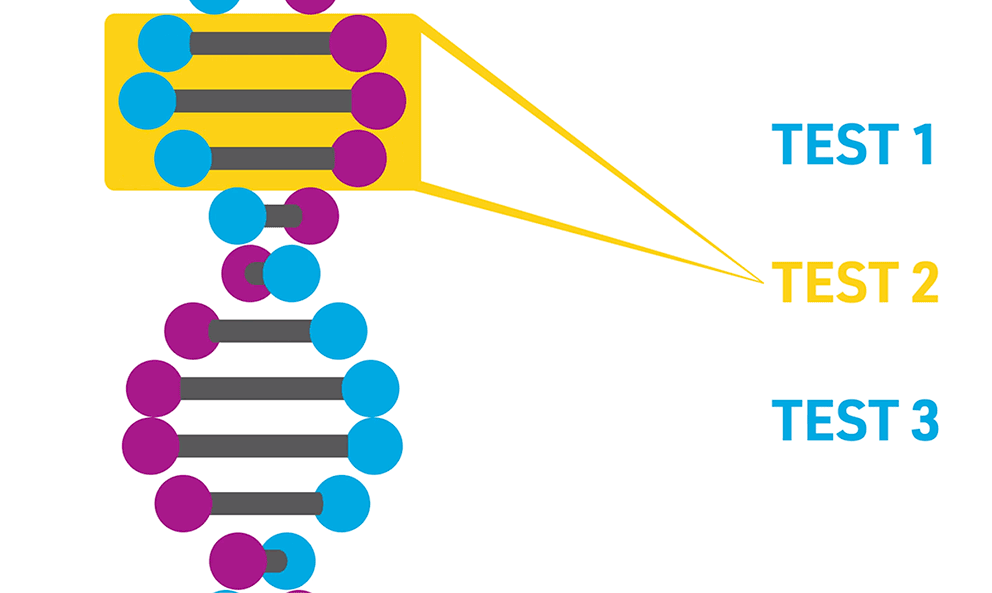 Tumor Testing