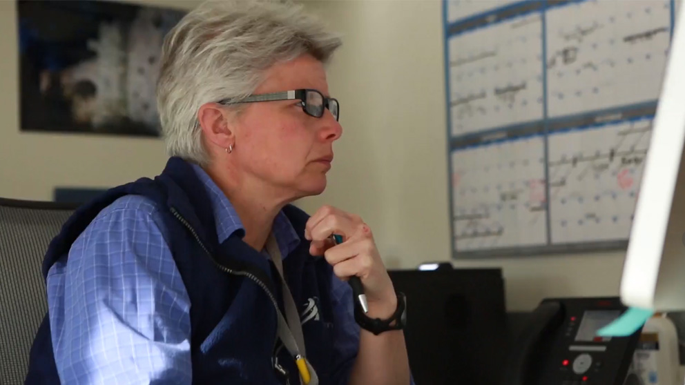 Jackson Laboratory (JAX) Professor Carol Bult, Ph.D. working at her computer in 2016. Photo credit: Marie Chao