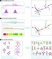 Systems Biology