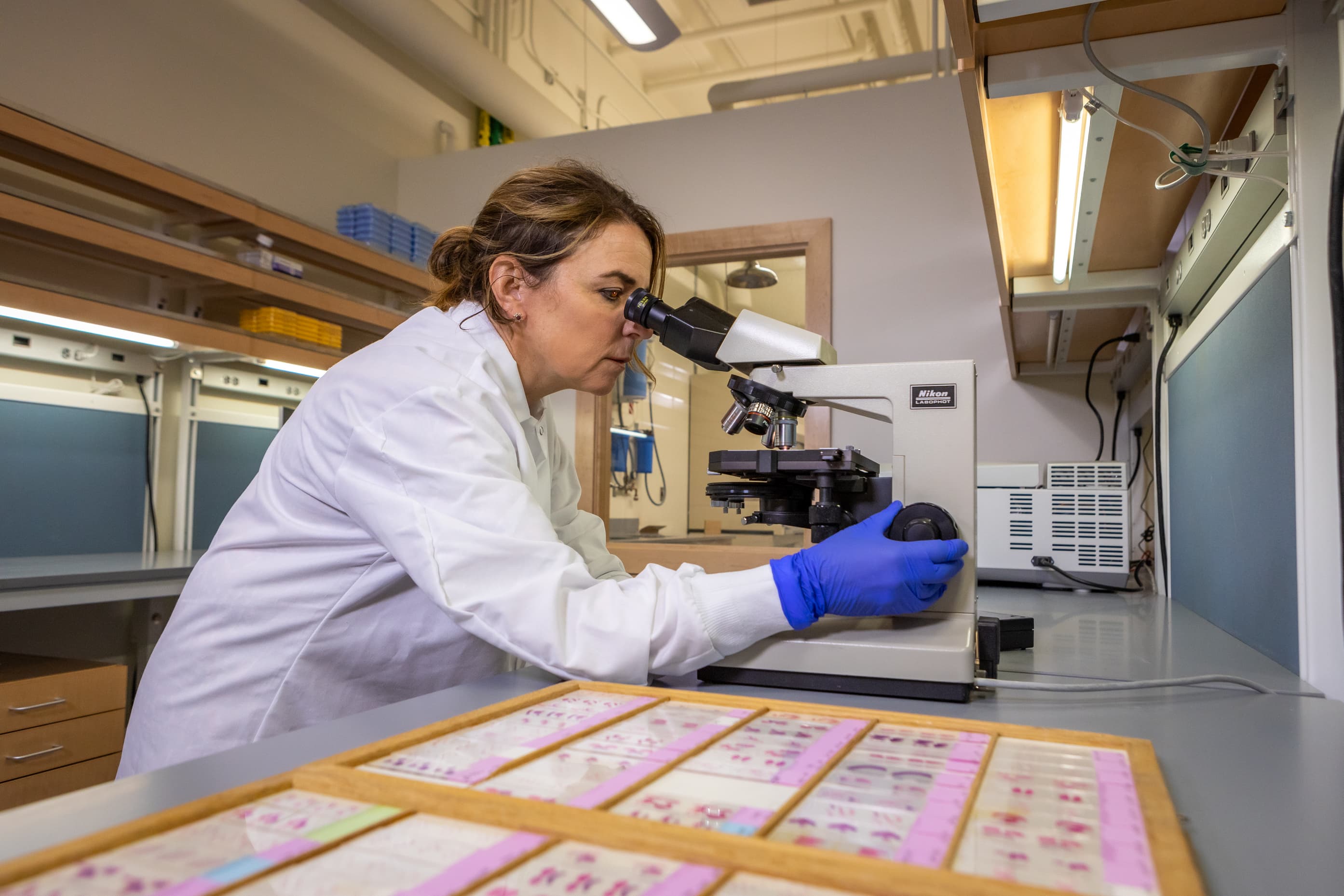 Dr. Cat Lutz looking through a microscope